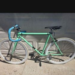 Fixi Bike  Only Need One Tube