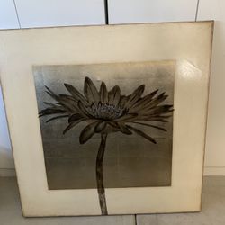 Picture Flower Canvas 48 X 48