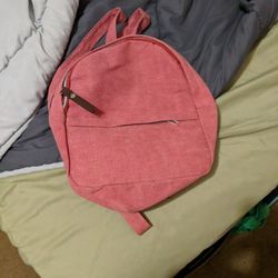 Pink Mini Backpack 