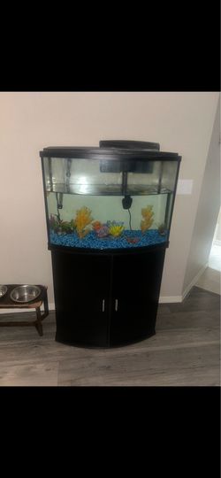 36 gallon Fish Tank set