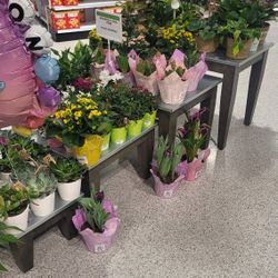 Set Of 4  Metal Top Nesting Didplay Tables For A Store 