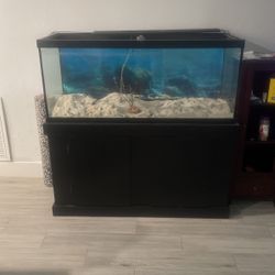 Fish Tank And Stand