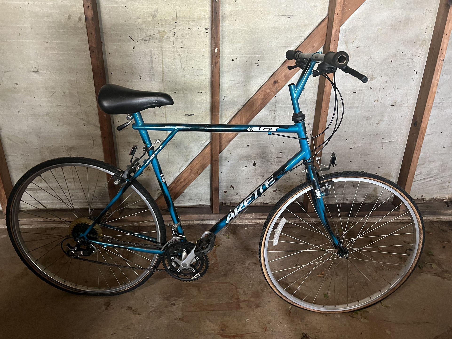 Arette GT Vintage mountain Bike