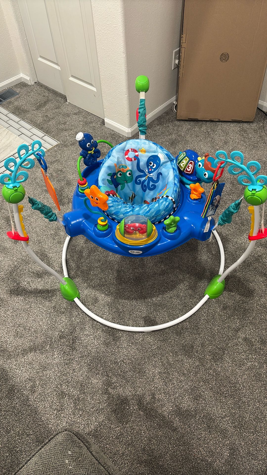 Baby Einstein Jumper-Great Condition, Smoke-Free Home