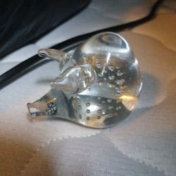 Glass Pig