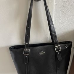 Bolsa Coach 