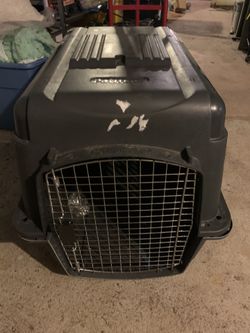 Pet Carrier
