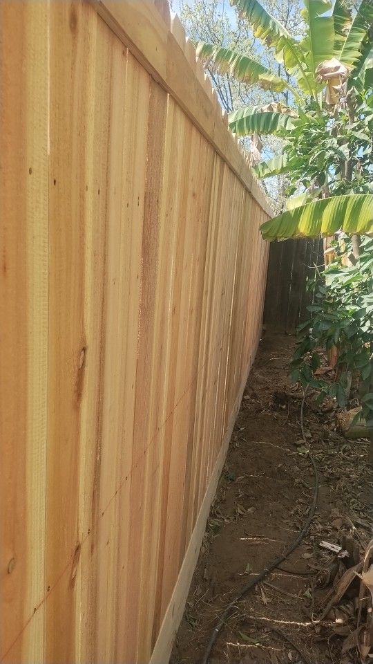 Fence