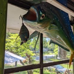 Real Mahi Mahi Fish With Heddon Pumpkinseed Lure