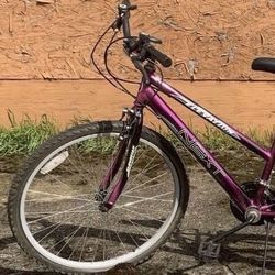 Next Elevation Mountain Bike