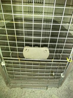 Big dog cage