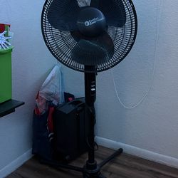 Fan