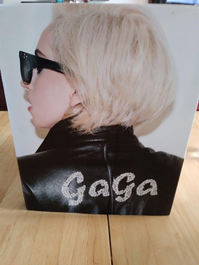 Big Lady Gaga Book. $10