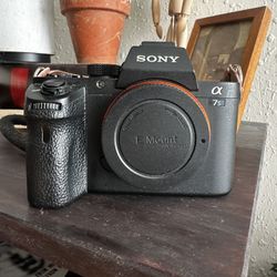 Sony A7 S2