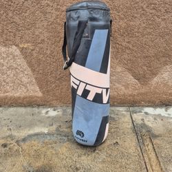 Punching Bag 