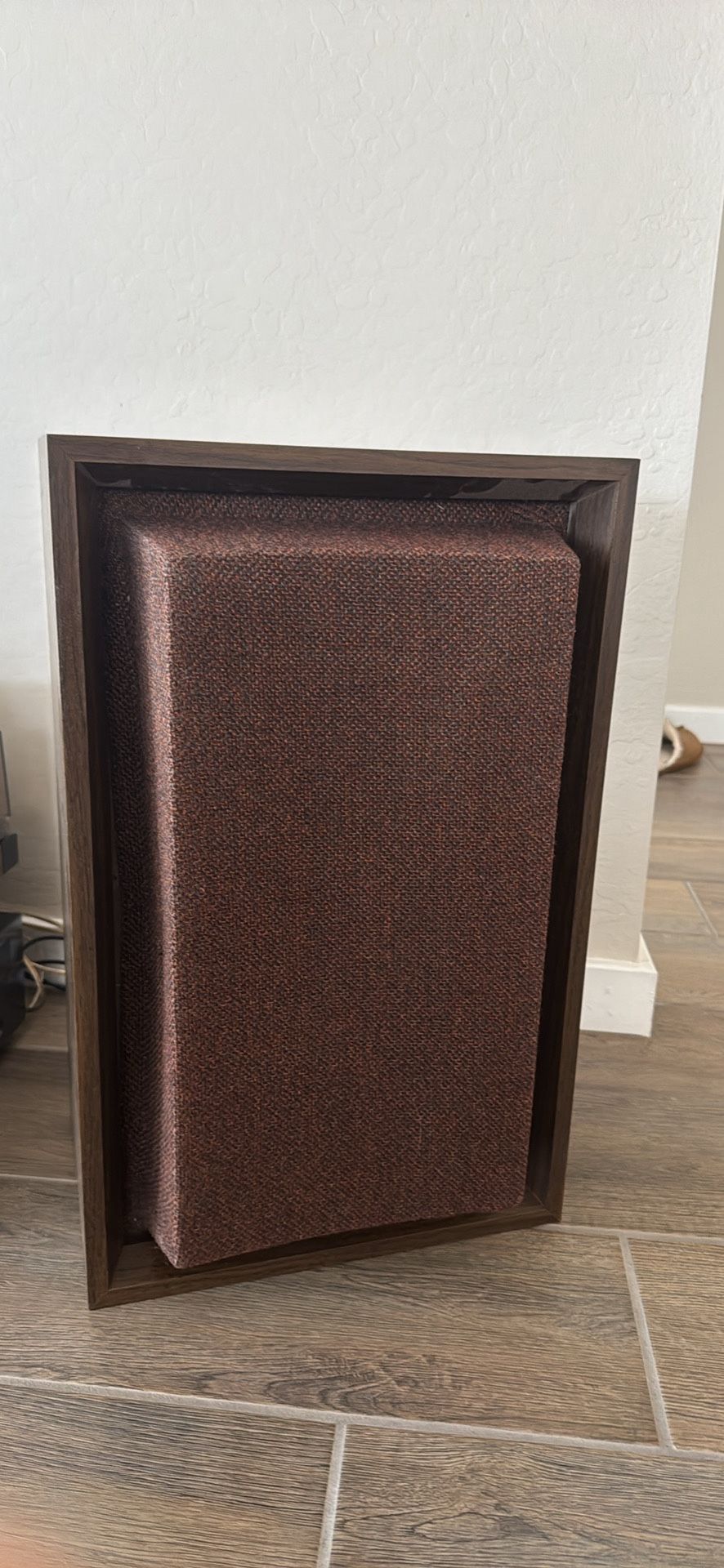 1972 Vintage Interaudio Bose Bookshelf Speakers Model 3000