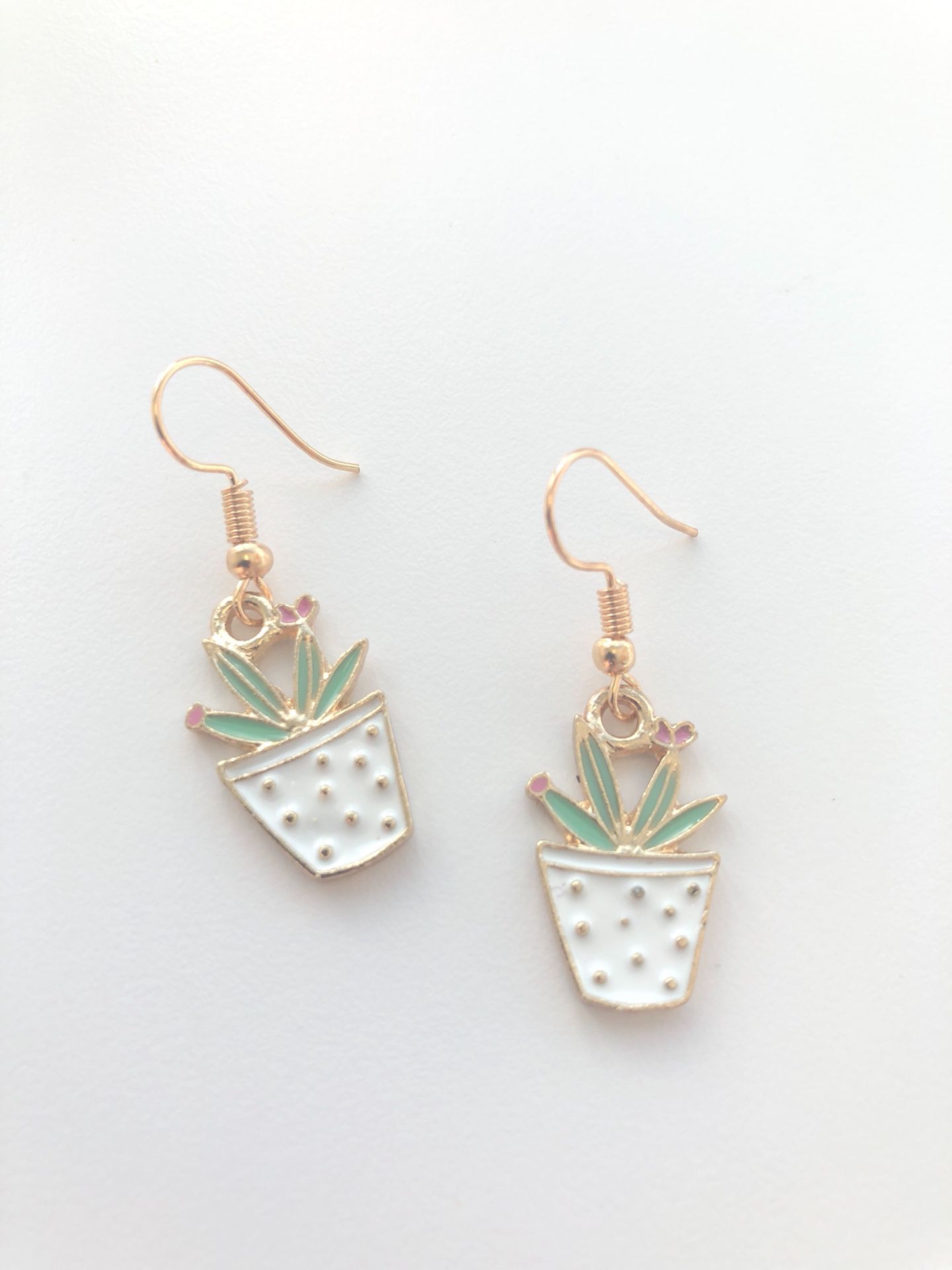 New succulents cacti earrings