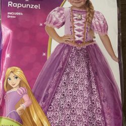 Disney Princess Halloween Costume