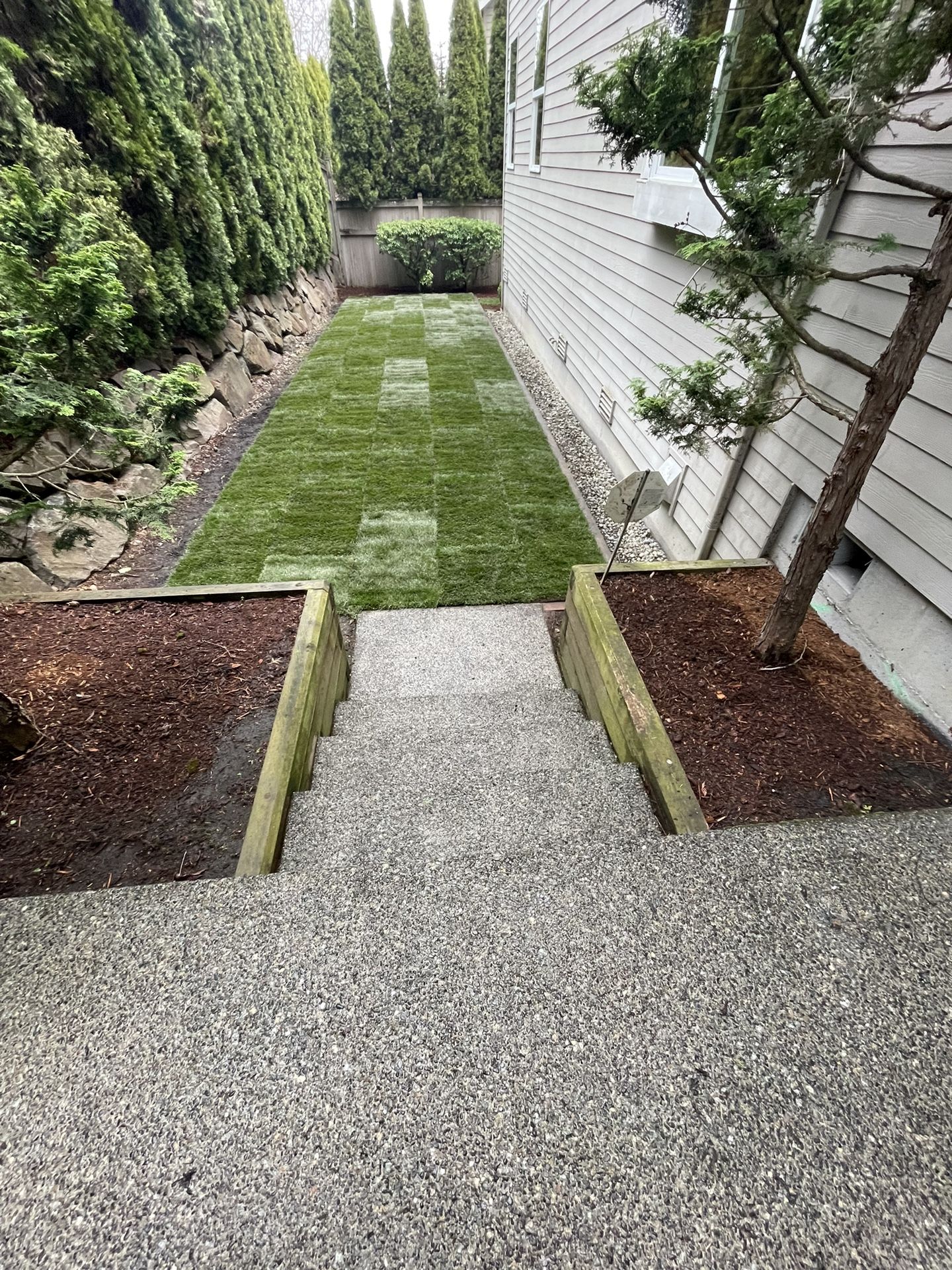 Landscaping Sod