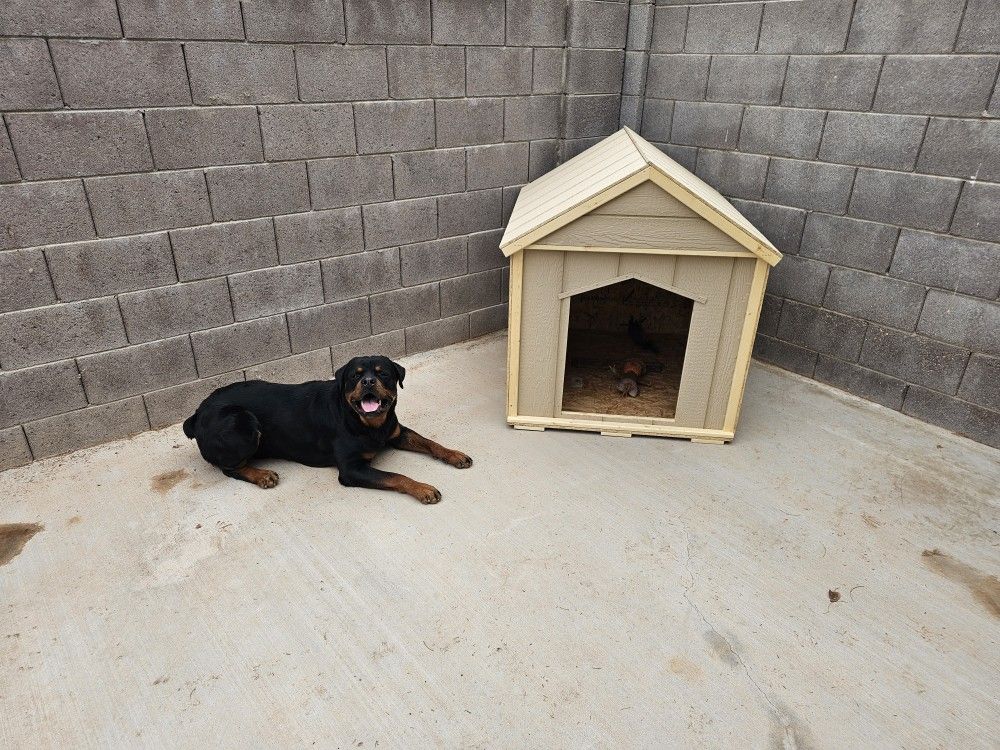 Large Dog House