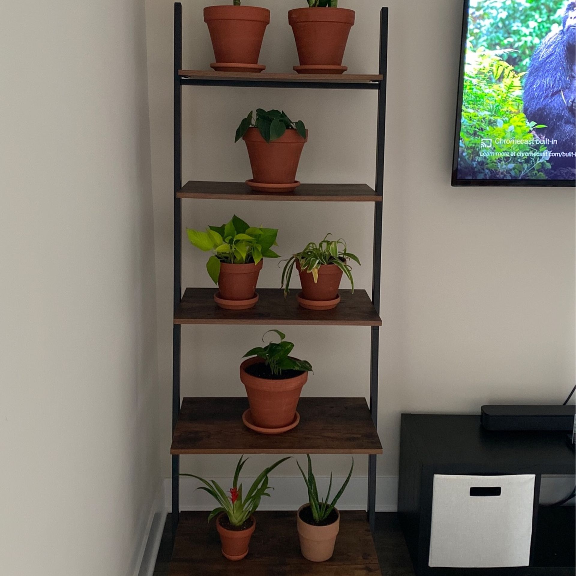 Leaning Ladder Shelf