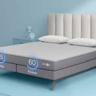 Sleep Number C1 Queen Size