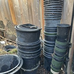 Free Assorted Plastic Plant Pots – Must Take All