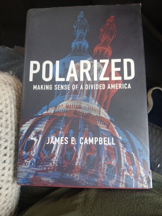 Polarized, Making Sense Of A Divided America