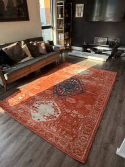 Indoor West Elm Rug - 6ft x 9ft