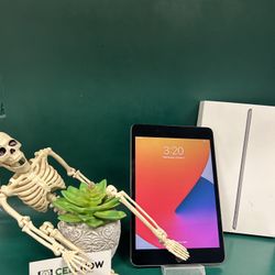 iPad Mini 5 256Gb Cellular 