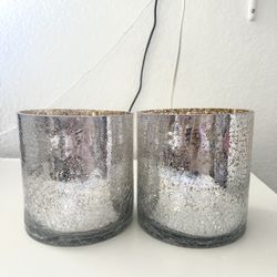Silver Glass vases