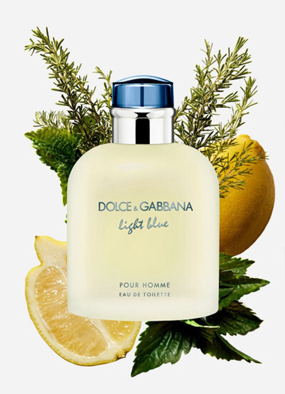 Dolce & Gabbana Light Blue Perfume 