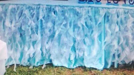 First baby Mickey backdrop