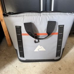Cooler Bag 