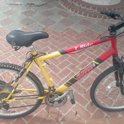 Older Electric Bike Needs Battery 