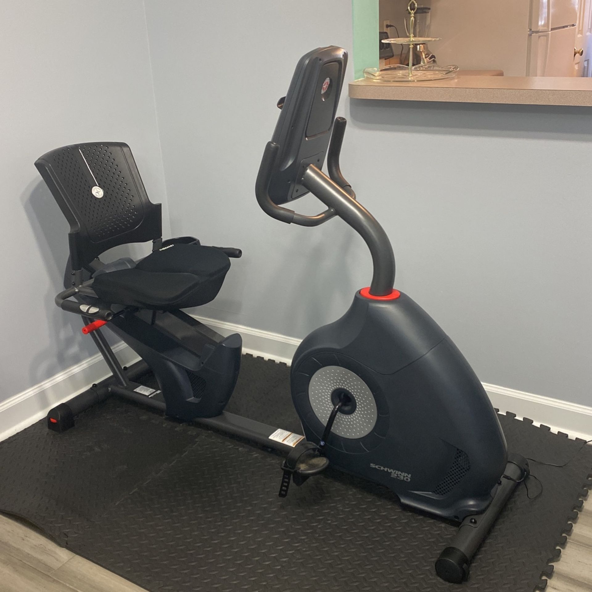 Schwann 230 Exercise Bike