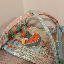 Skip Hop Farm Stand Activity Gym