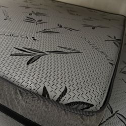 Full Bed With Boxspring 