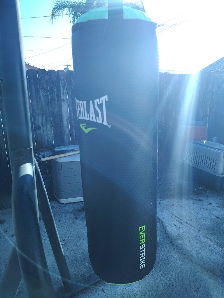 Everlast Punching Bag 🥊🥊