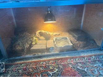 Reptile cage