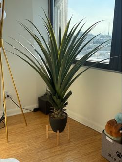 Fake agave plant