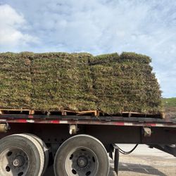 Sod 500sqft