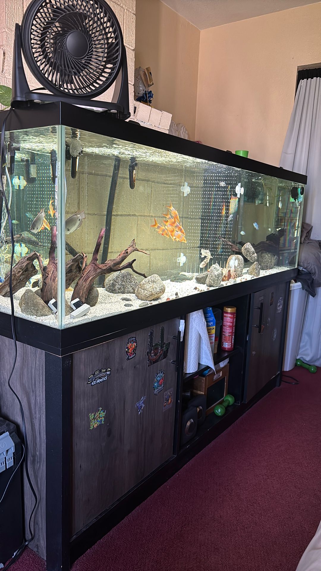 Fish Tank Decor