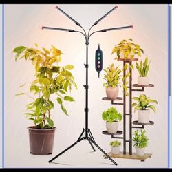 Head Grow Lights for Indoor Plants