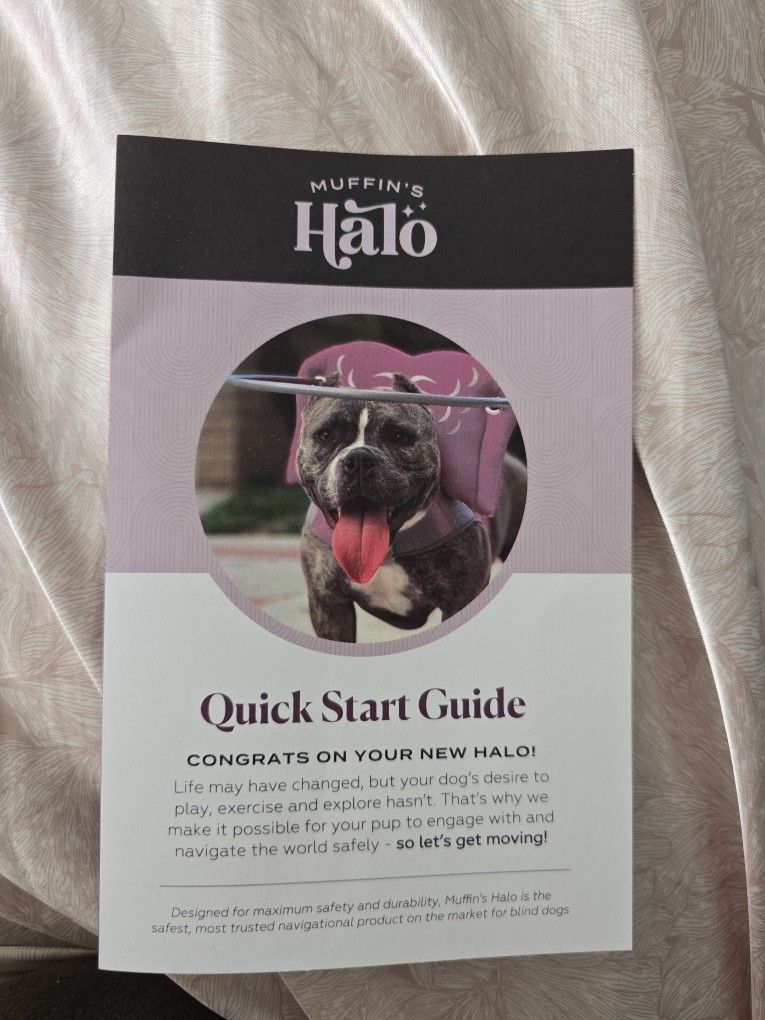 OEM Muffin's Halo Size 5 Gray For Blind Dog