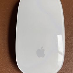 Apple Magic Mouse 