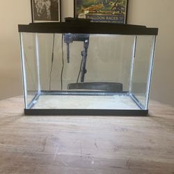 Full Aquarium Setup