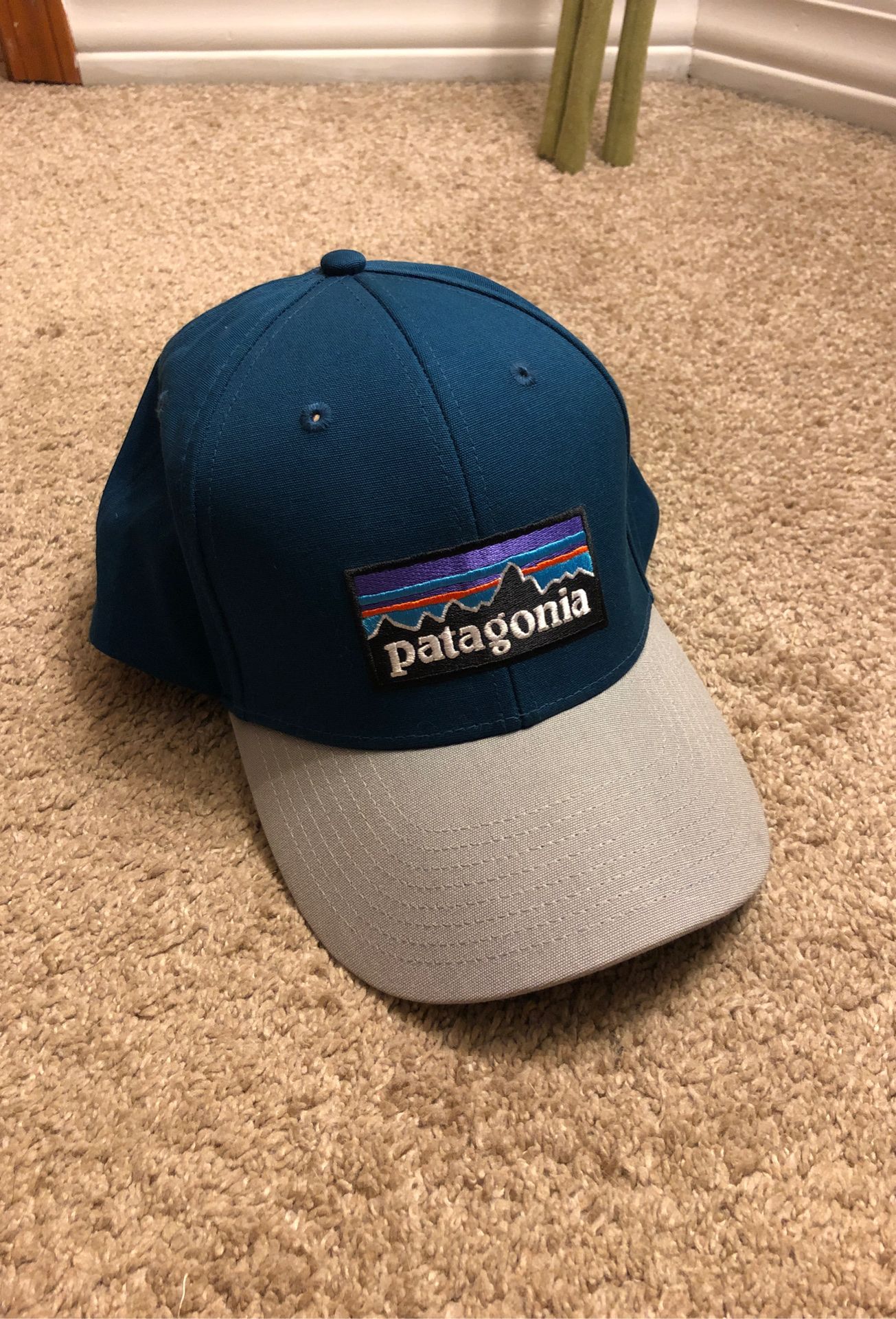 Patagonia Hat