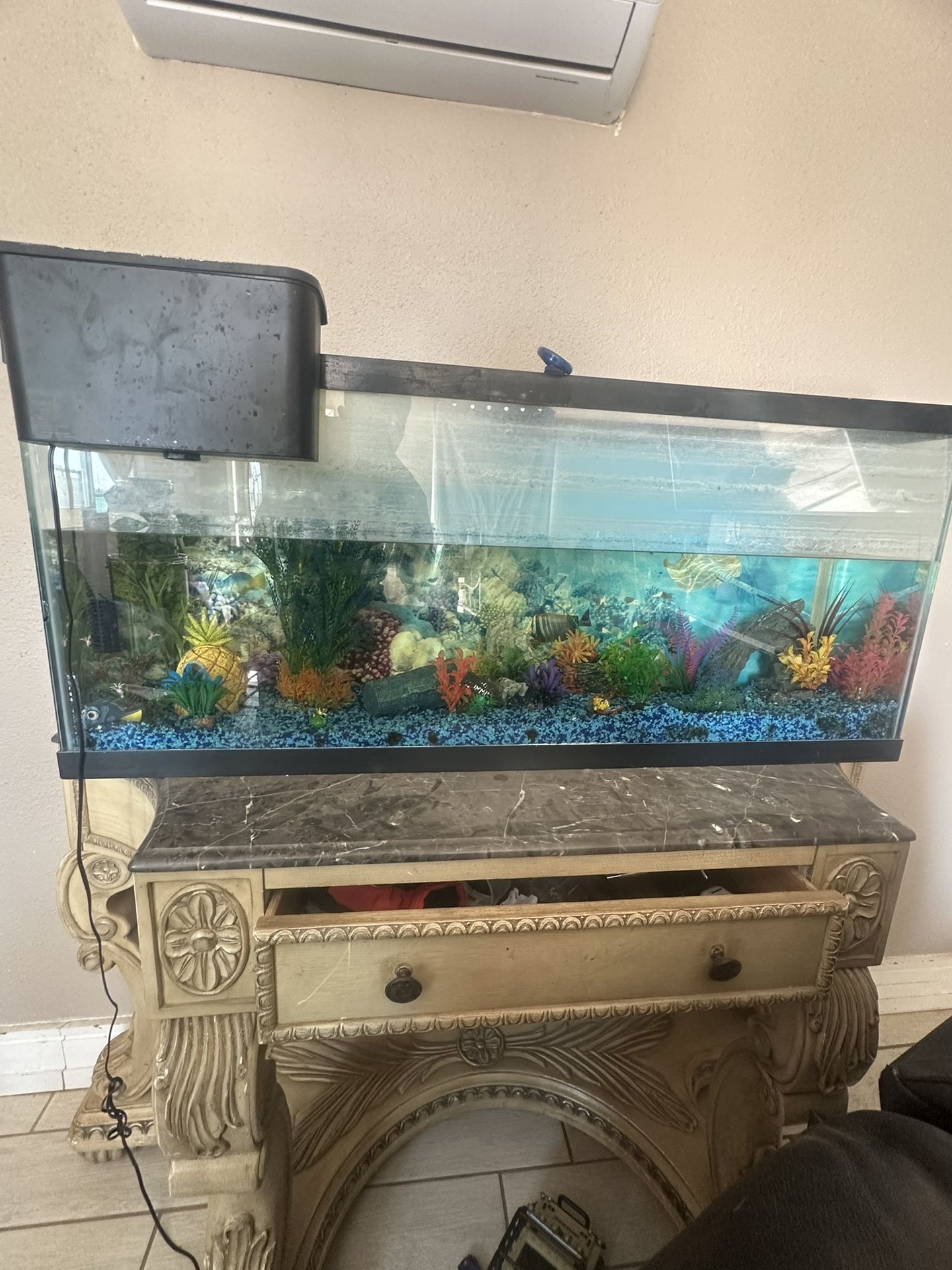 Fish Tank
