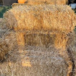 Hay For Sale 40 Units